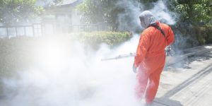 Important Considerations For Outdoor Pest Control